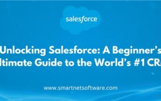 salesforce begginer guide